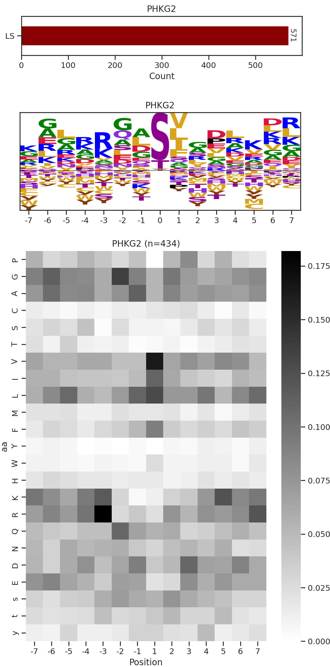 PHKG2 image