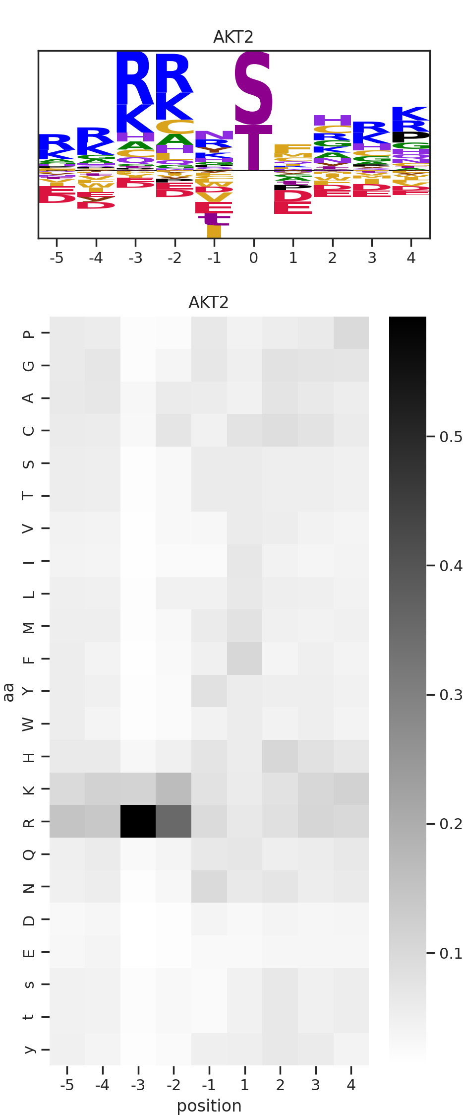 AKT2 image