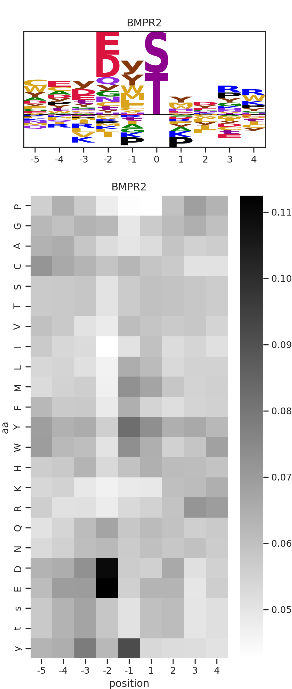 BMPR2 image