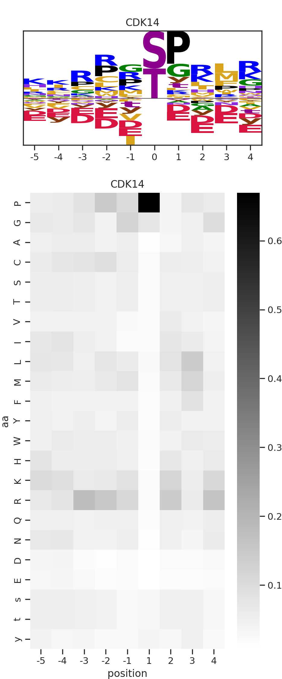 CDK14 image