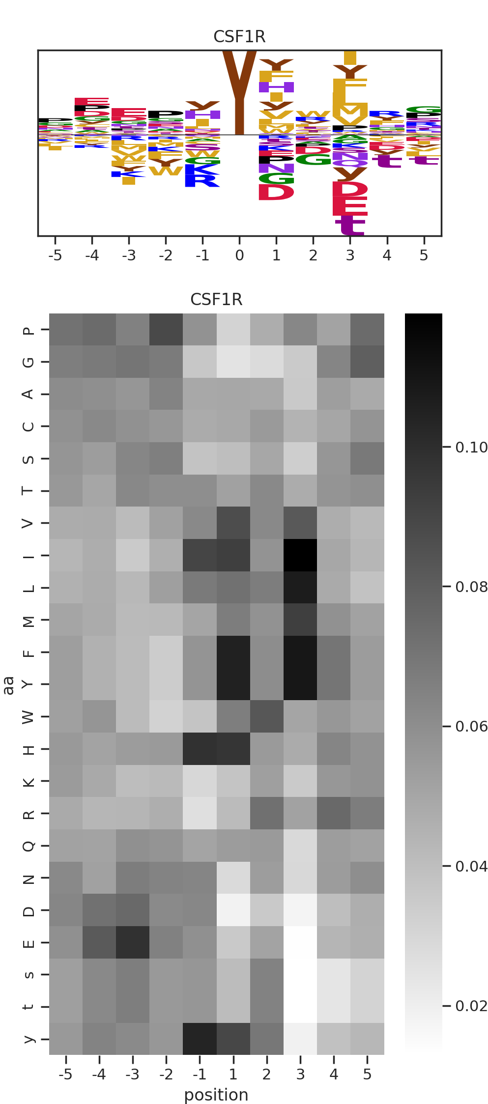 CSF1R image