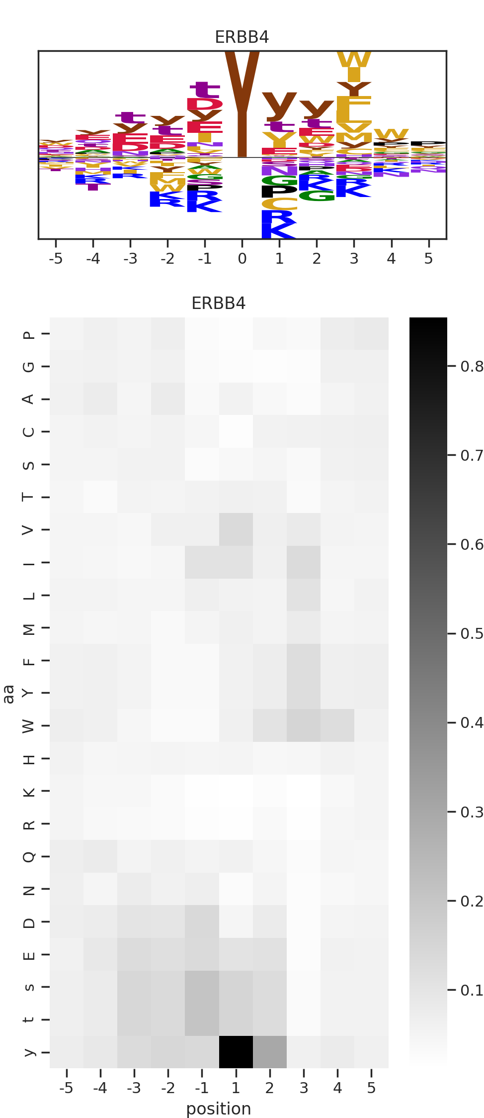 ERBB4 image