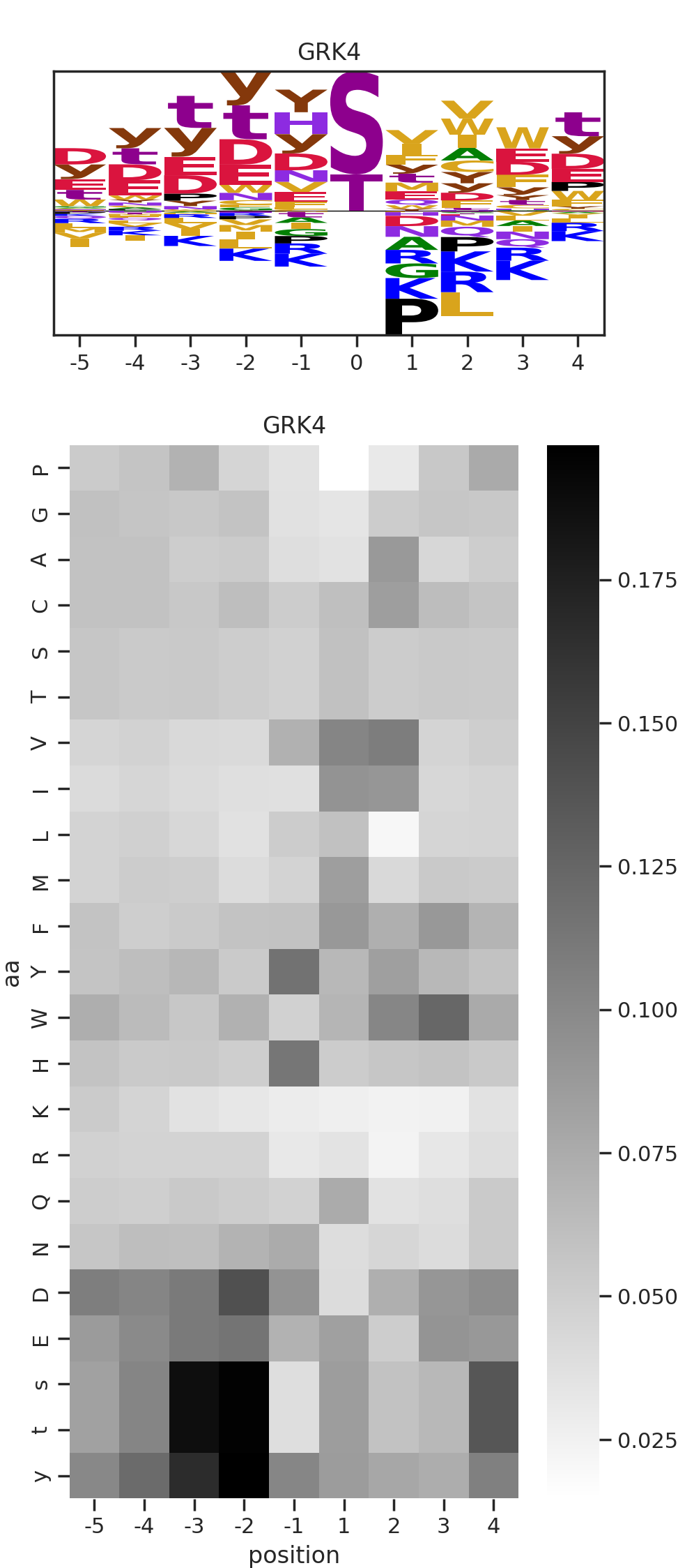 GRK4 image