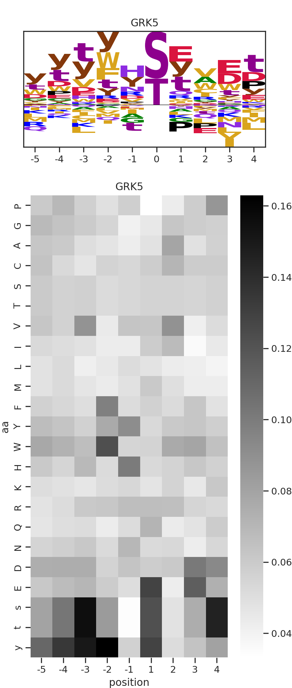 GRK5 image