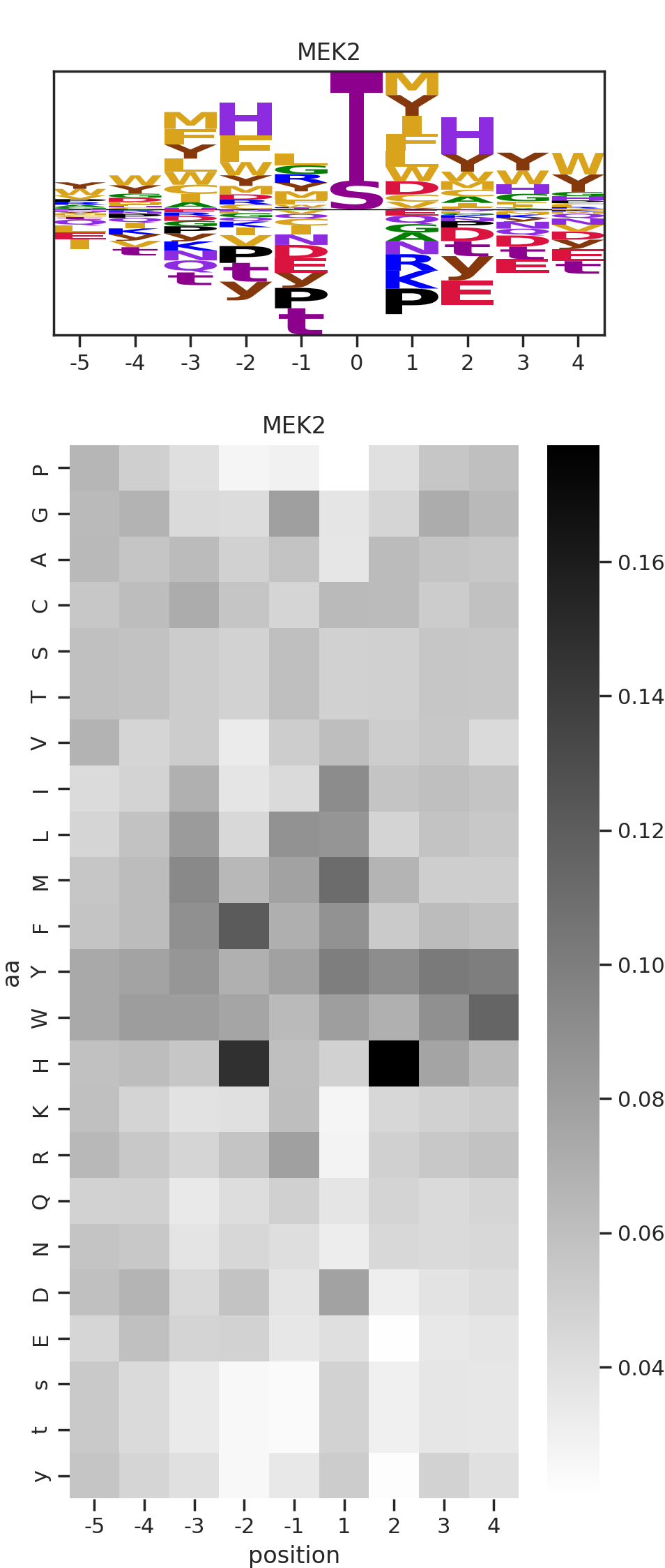 MEK2 image