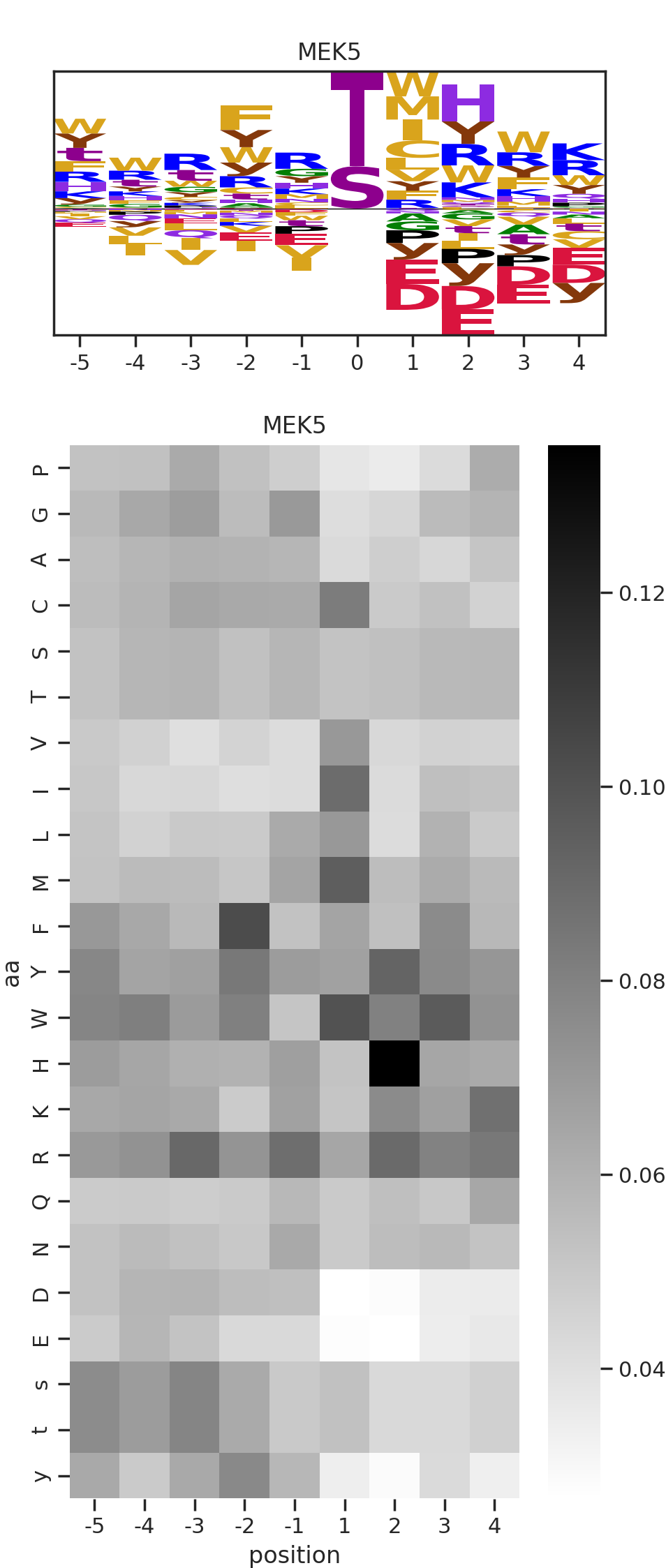MEK5 image