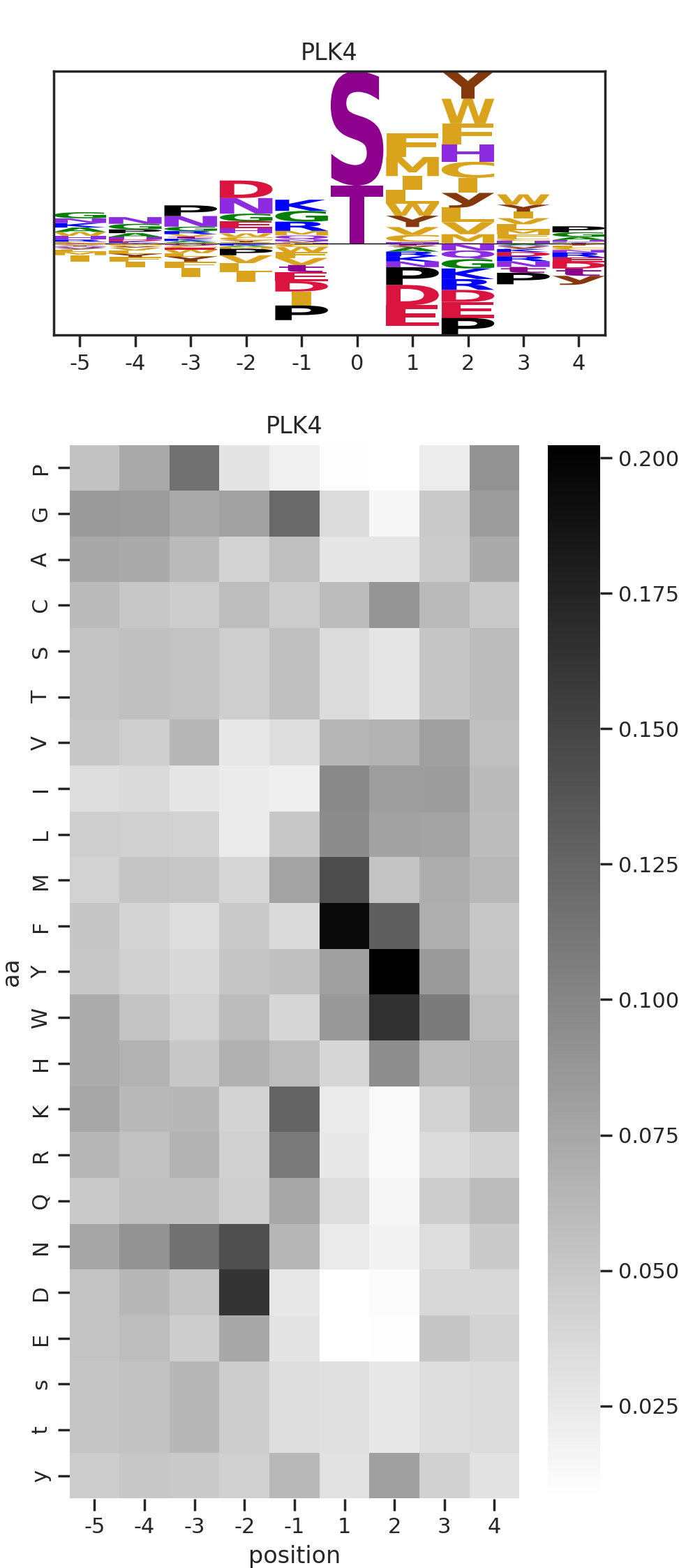PLK4 image