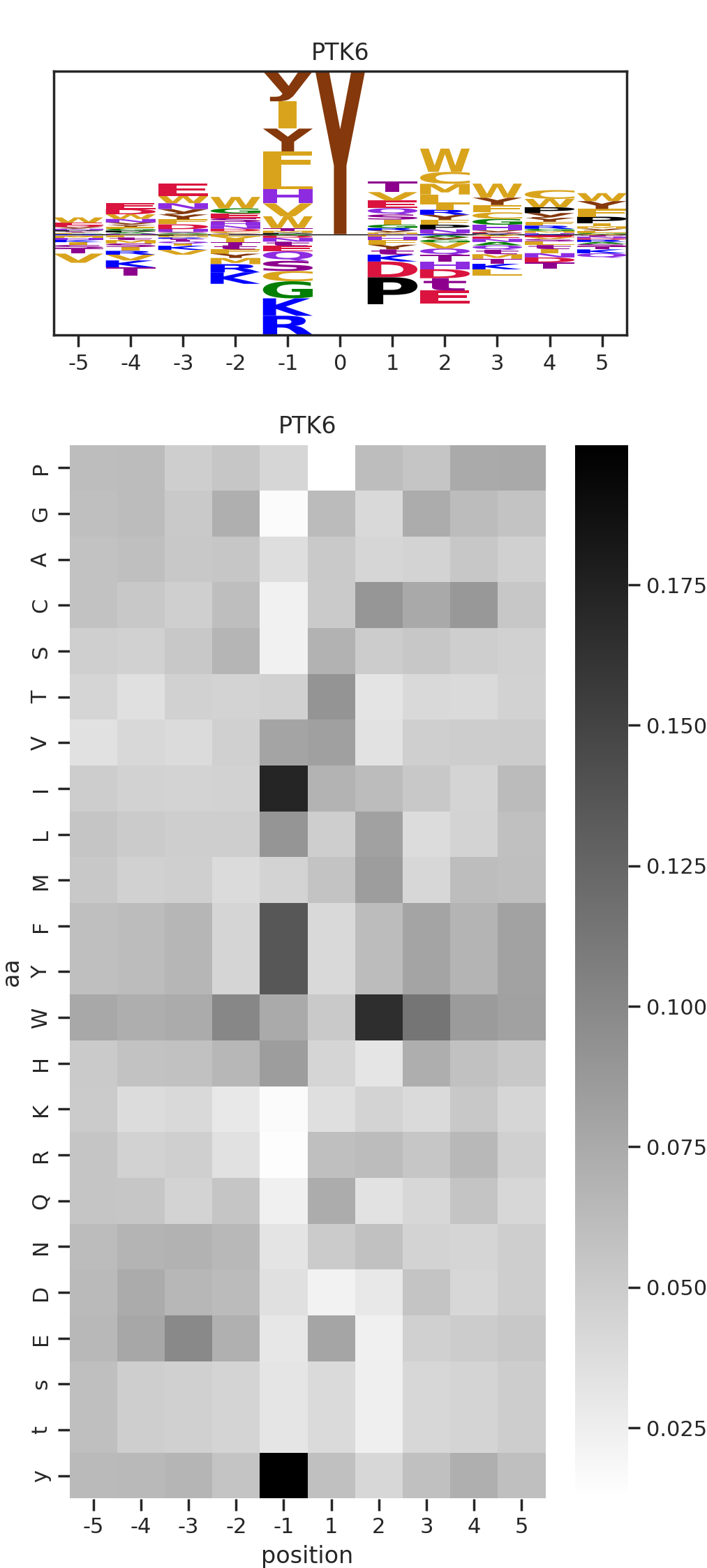 PTK6 image
