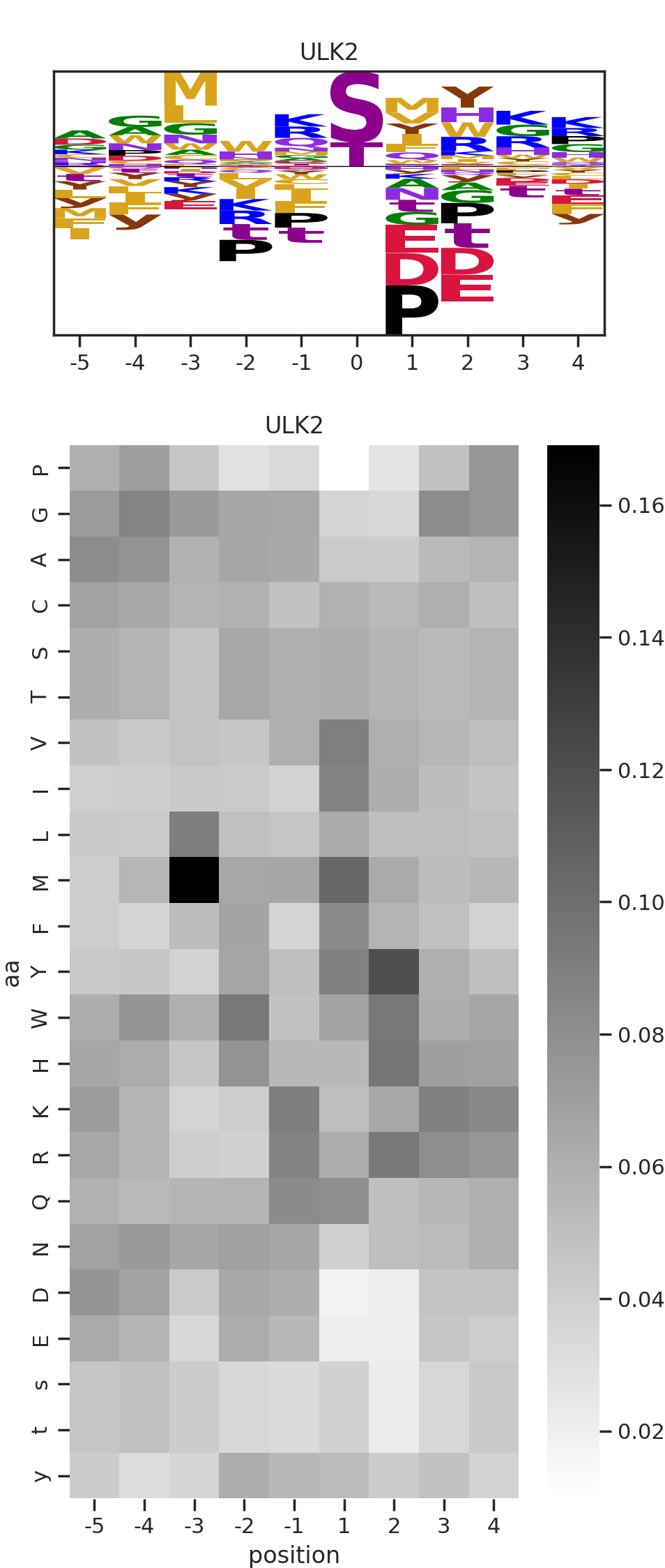 ULK2 image