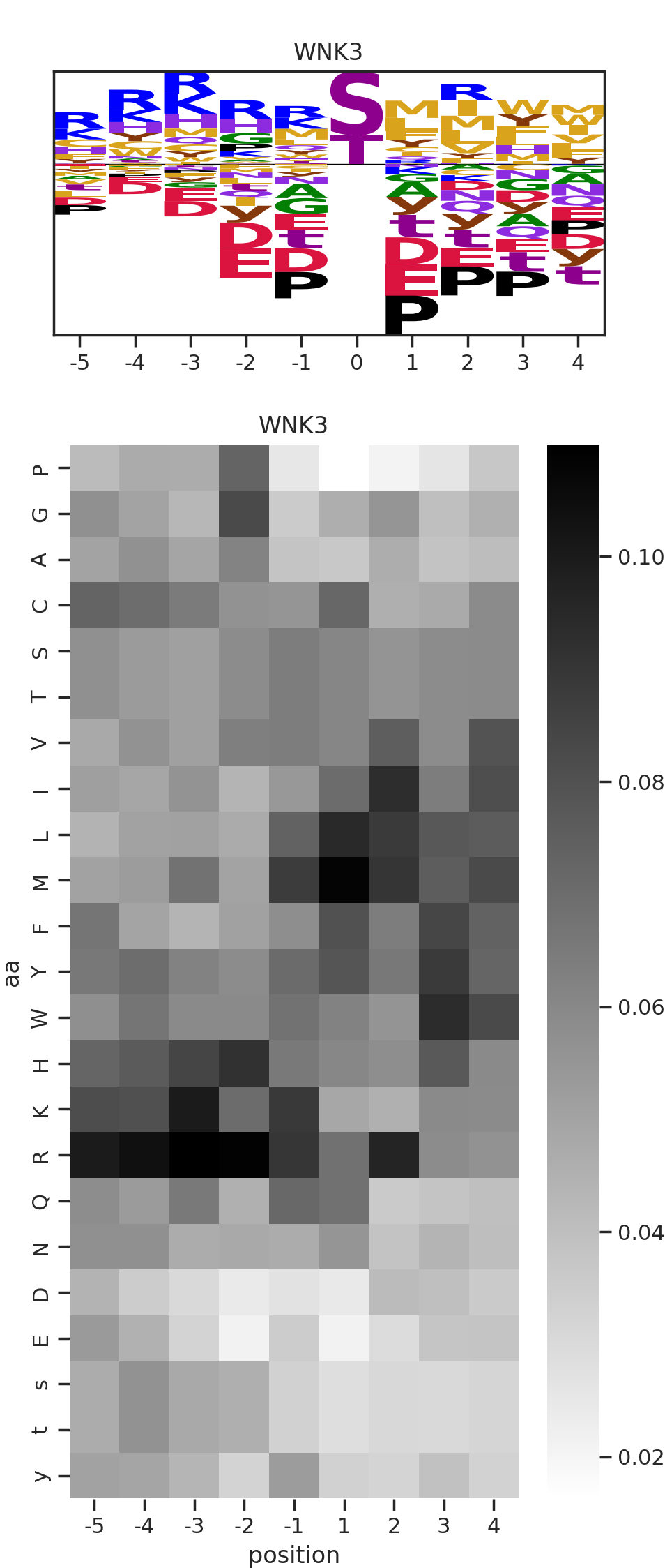 WNK3 image